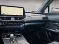 Lexus Sonstige 300h F-Sport Design Schwarz - thumbnail 11