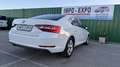 Skoda Superb 2.0TDI AdBlue Active 110kW Blanco - thumbnail 18