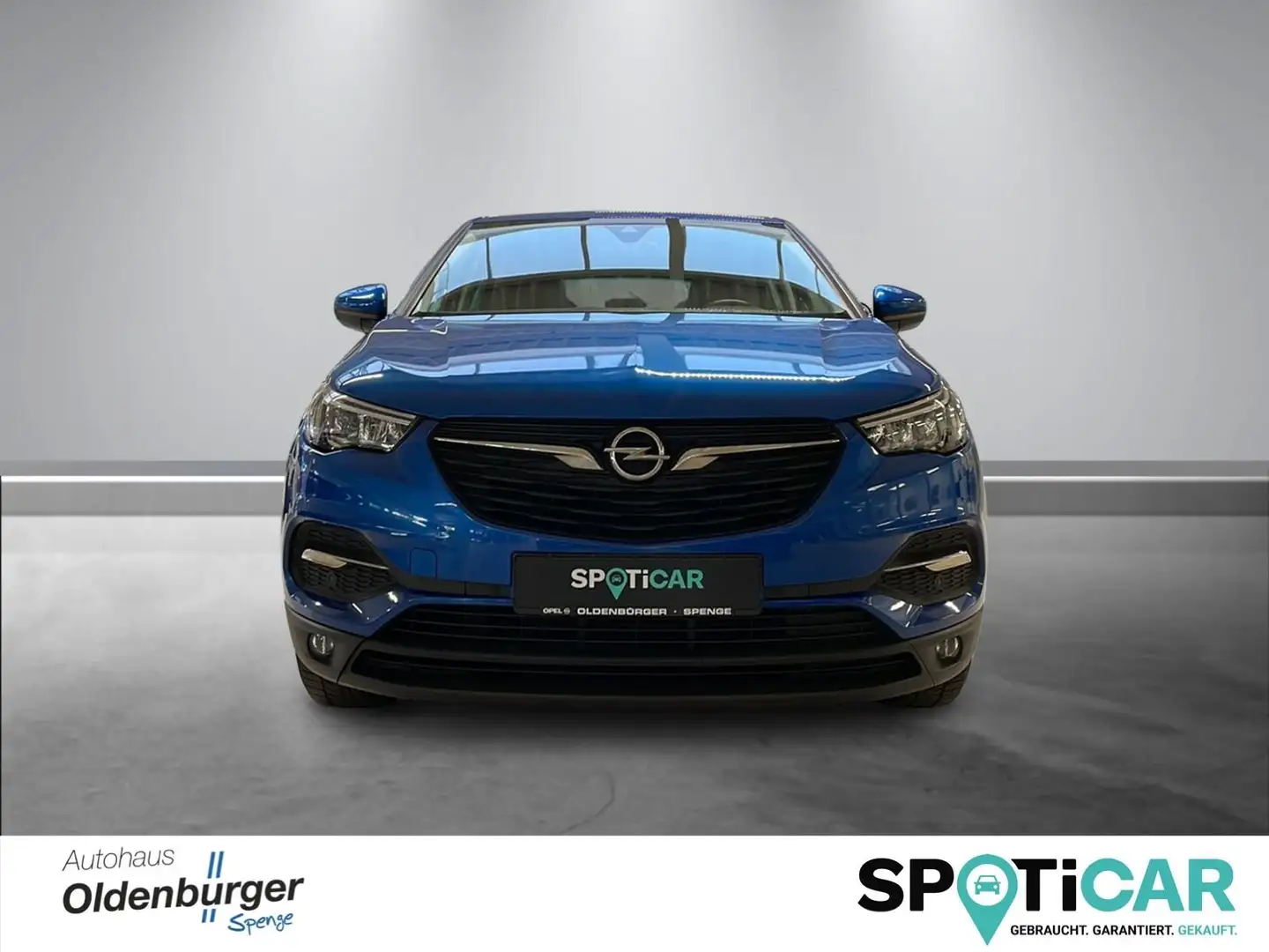 Opel Grandland X Business Edition Blu/Azzurro - 2