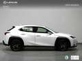 Lexus UX 250h Business Navigation 2WD Blanc - thumbnail 17