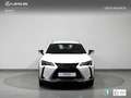 Lexus UX 250h Business Navigation 2WD Weiß - thumbnail 5