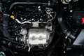 Ford EcoSport 1.0 EcoBoost Trend Ultimate, NL, CarPlay, PDC Blanc - thumbnail 16