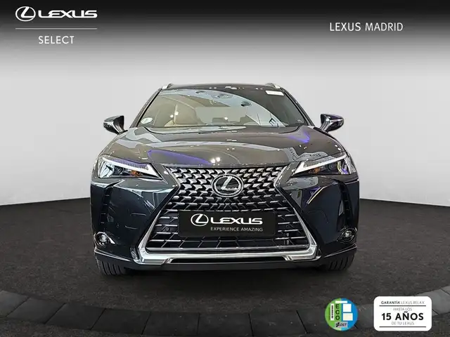 Lexus UX 300h 2.0  Plus