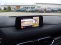 Mazda CX-5 L SKYACTIV-G 194 AWD 5T 6AG AL-SPORTS LEDER-S TEC- Grau - thumbnail 9