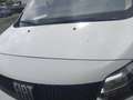 Fiat Scudo 1.5BlueHdi 100cv L2H1 FURGONE Anno 2023 Bianco - thumbnail 8