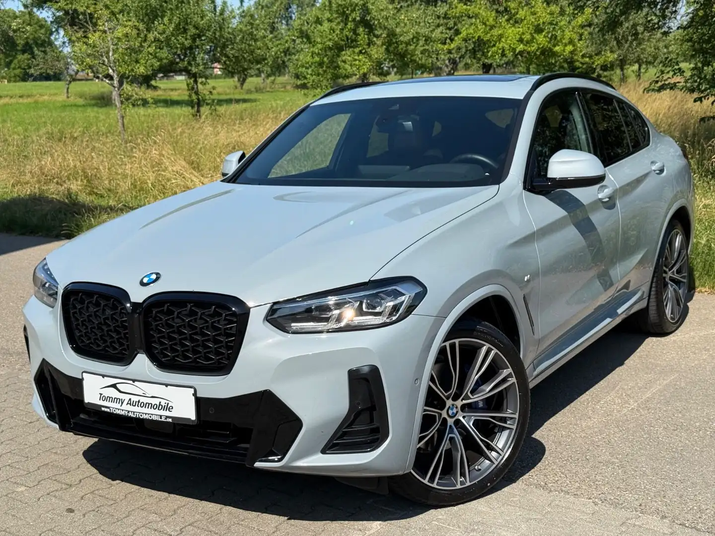 BMW X4 xDrive 30d M Sport Pano Carb Standhzg AHK 21" Gris - 1