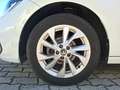 Volkswagen Polo TSI Style Matrix Navi AID PDC SH LM Weiß - thumbnail 11