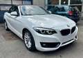 BMW 218 218i Cabrio STEPTRONIC INTERNI IN PELLE MARRONE FU Bianco - thumbnail 1