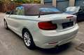 BMW 218 218i Cabrio STEPTRONIC INTERNI IN PELLE MARRONE FU Bianco - thumbnail 3