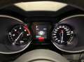 Alfa Romeo Stelvio Stelvio 2017 2.2 t Super rwd 180cv auto Alb - thumbnail 16