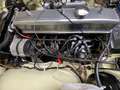 Triumph TR5 TR250 Amarillo - thumbnail 18