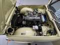 Triumph TR5 TR250 Amarillo - thumbnail 16