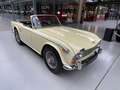 Triumph TR5 TR250 Amarillo - thumbnail 5