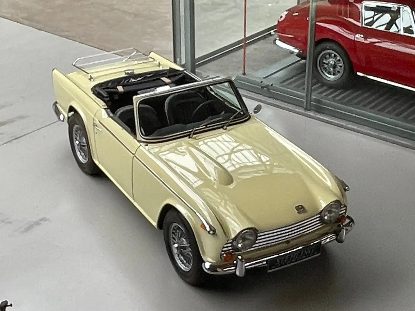 Triumph TR5 TR250 Amarillo - 2