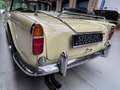 Triumph TR5 TR250 Amarillo - thumbnail 7