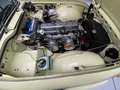 Triumph TR5 TR250 Amarillo - thumbnail 14