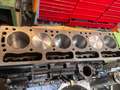 Triumph TR5 TR250 Amarillo - thumbnail 11