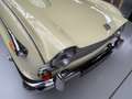 Triumph TR5 TR250 Amarillo - thumbnail 6