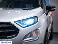 Ford EcoSport 1.0 EcoBoost 100 CV ST-Line - "PREZZO VERO" Grijs - thumbnail 16
