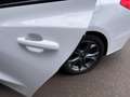 Ford Focus Wagon 1.5 Eco 150pk AUT. ST Line Navi, Trekhaak, W Wit - thumbnail 29