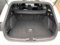 Ford Focus Wagon 1.5 Eco 150pk AUT. ST Line Navi, Trekhaak, W Wit - thumbnail 24