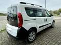 Fiat Doblo 1.4 16v natural  power 120cv 7posti Білий - thumbnail 3