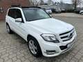Mercedes-Benz GLK 200 d *PANO*AUTOMATIK*TEMP*KLIMA* Blanco - thumbnail 4