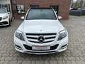 Mercedes-Benz GLK 200 d *PANO*AUTOMATIK*TEMP*KLIMA* Blanco - thumbnail 2