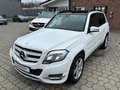 Mercedes-Benz GLK 200 d *PANO*AUTOMATIK*TEMP*KLIMA* Blanco - thumbnail 3