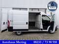 Fiat Ducato Fiat Ducato 3.3to 120PS Klima PDC L2H2 2,2ltr. Weiß - thumbnail 2