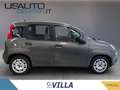 Fiat Panda 1.0 firefly hybrid s&s 70cv Grigio - thumbnail 3