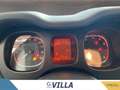 Fiat Panda 1.0 firefly hybrid s&s 70cv Grigio - thumbnail 12