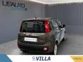 Fiat Panda 1.0 firefly hybrid s&s 70cv Grigio - thumbnail 4