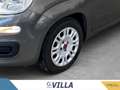 Fiat Panda 1.0 firefly hybrid s&s 70cv Grigio - thumbnail 7