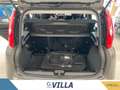 Fiat Panda 1.0 firefly hybrid s&s 70cv Grigio - thumbnail 15