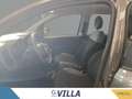 Fiat Panda 1.0 firefly hybrid s&s 70cv Grigio - thumbnail 13