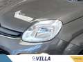Fiat Panda 1.0 firefly hybrid s&s 70cv Grigio - thumbnail 6