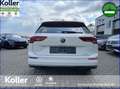 Volkswagen Golf Golf VIII Variant 1.5 eTSI DSG Goal ACC APP GJR Blanco - thumbnail 6