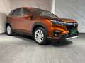 Suzuki S-Cross 1.4 GL**ALLRAD**SHINE**HYBRID**LED**MWST** Bronze - thumbnail 6