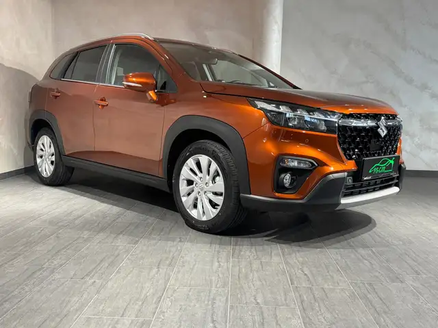 Suzuki S-Cross view 6