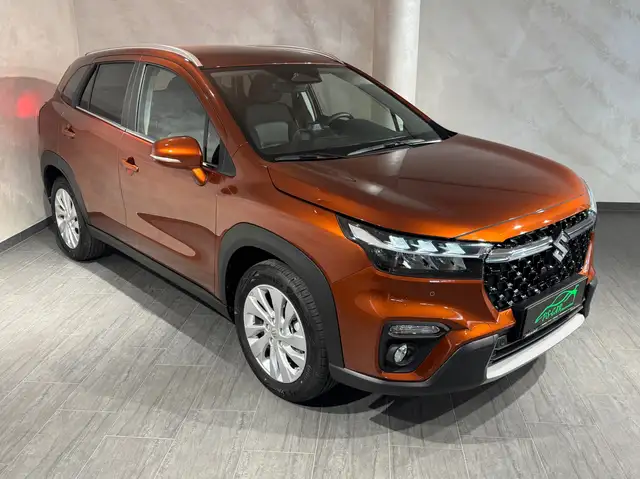 Suzuki S-Cross view 8