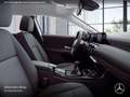 Mercedes-Benz A 160 Spurhalt-Ass PTS Sitzh Temp Weiß - thumbnail 13