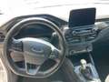 Ford Kuga Kuga 1.5 ecoblue ST-Line 2wd 120cv Bianco - thumbnail 11