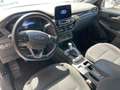 Ford Kuga Kuga 1.5 ecoblue ST-Line 2wd 120cv Bianco - thumbnail 6