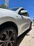 Ford Kuga Kuga 1.5 ecoblue ST-Line 2wd 120cv Bianco - thumbnail 10