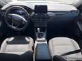 Ford Kuga Kuga 1.5 ecoblue ST-Line 2wd 120cv Bianco - thumbnail 8
