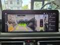 BMW X4 20d M-Sport Tetto Navi CAM LED Clima3Zone MSport Nero - thumbnail 14