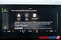 Skoda Octavia WAGON 2.0 TDI 116 CV DSG EXECUTIVE Grigio - thumbnail 13