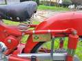 Benelli Leoncino 125 Sport Red - thumbnail 2