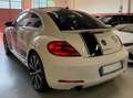 Volkswagen Maggiolino Maggiolino 2.0 tsi Sport dsg Bianco - thumbnail 3